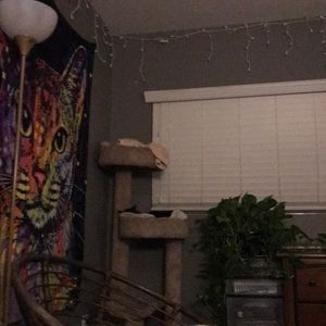 Meet your Posher, Gabriella